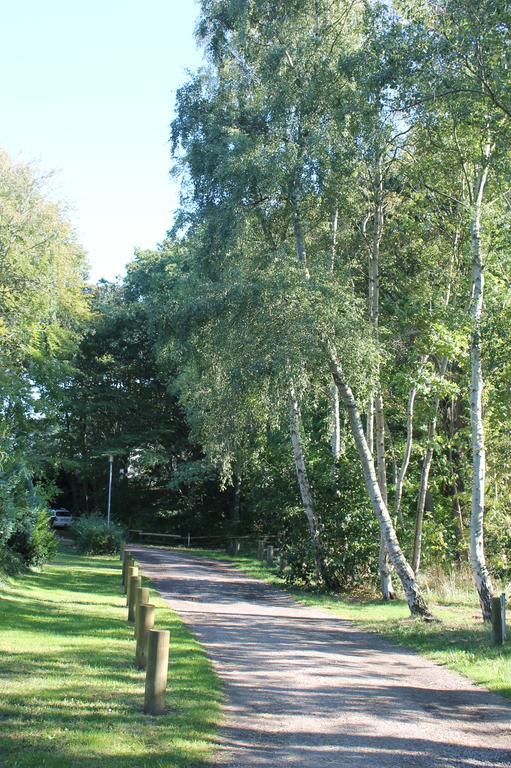 Haus Strandgut Ahrenshoop Bagian luar foto